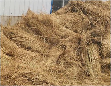 straw pellets