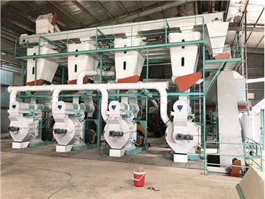 Ahşap Pelet İşleme Tesisi